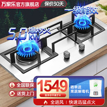 万家乐猛火灶燃气双灶 5.0kw 一级能效急速点火煤气炉台嵌两用灶具 QJ15 QJ15（W） 天然气
