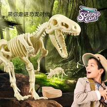 恐龙化石玩具儿童考古套装挖掘恐龙霸王龙骨架模型标本 标配 霸王龙恐龙化石挖掘套装