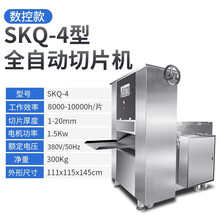 艾士奇（AISHIQI）羊肉切片机商用 全自动切肉机切片冻肉肥牛羊肉卷刨肉机 数控款SKQ-4型全自动