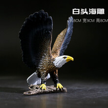 儿童实心仿真野生动物园玩具模型世界森林套装狮子老虎大象长颈鹿 白头海雕