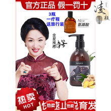 金星洗发水bodyaid博滴琴叶生姜洗发水防脱、育发去屑增发生姜护发男士女士黄圣依董璇代言素 琴叶生姜洗发水*1瓶 300mL