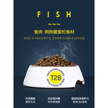 纽顿狗粮加拿大进口t27/t28/s7/s11/s2幼成犬6KG火鸡肉三文鱼天然 S7鸡肉&糙米1.5KG---成犬 6个月以上