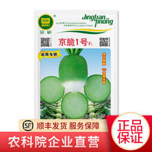 京研 萝卜种子 心里美 天津沙窝萝卜 水果萝卜 樱桃萝卜 白萝卜水萝卜 胡萝卜 萝卜种籽 蔬菜籽 京脆1号 10克