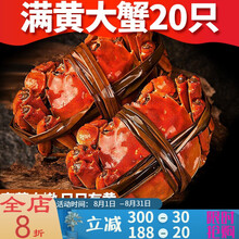 【活鲜】鲜活大闸蟹特大母蟹现货六月黄海鲜水产河蟹礼盒装3.5-1.5两 塔布莫特 (1-1.5两)买12+12