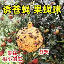 空消 果树粘虫球诱蝇球柑橘大实蝇球小食蝇诱球沾虫球瓜果实蝇球 瓜果实蝇粘虫球捕杀桔小实蝇针蜂沾马蜂灭 黄色 5个