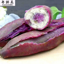 老农夫 【高州坡地番薯】新鲜冰淇淋红薯粉糯香甜板栗花心薯粉番薯一点红 3斤小薯冰淇淋【净重3斤】
