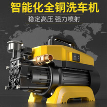 高压洗车机 家用220v洗车器便携自吸两用全自动洗车水枪洗车泵清洗机 套餐一出厂标配7米管