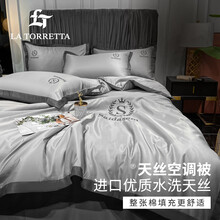 La Torretta 空调被夏凉被可水洗 刺绣亲肤水洗仿真丝夏被单双人冰丝被子薄被芯 太空灰 200*230cm