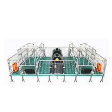 牧多邦 母猪产床 猪用单双体产床产保一体仔猪保育床母猪分娩床定位栏畜牧养殖器械 2.2*3.6M 2.0标准款