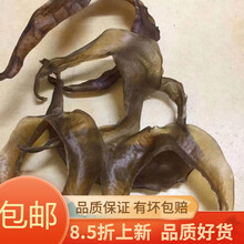 甲鱼 裙边 鳖边 一斤40个 干净 酒店 饭店 用品 质量好 营养丰富 500克装 水鱼边一斤40个左右