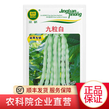 北京农科院京研蔬菜种子油菜生菜菠菜白菜黄瓜韭菜苦瓜大葱小香葱芹菜豆角辣椒丝瓜快菜茄子萝卜南瓜西葫芦籽 九粒白10克/袋