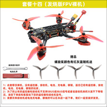 FPV无人机到手飞套机QAV250机架 5寸mak4穿越机套装tlite遥控器定制款 套餐十四(发烧版FPV裸机) 穿越机