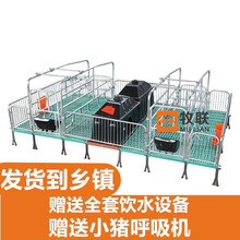 牧联 母猪产床 猪用单双体产床 母猪分娩床定位栏 仔猪保育床 畜牧养殖器械 升级版3.6*2.2米复合产床