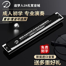 德国进口音簧天鹅追梦人口琴28孔重音C调28孔复音高级专业成人演奏级初学者学习乐器 高端28孔雅典黑复音【音标款】配10大礼包 C调 全套配件