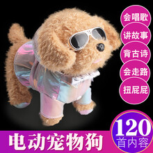 生日礼物儿童电动毛绒玩具狗狗走路会叫会唱歌机器狗会说话的仿真泰迪小狗抖音网红同款 拉风泰迪狗 【送电池】120首歌曲+故事