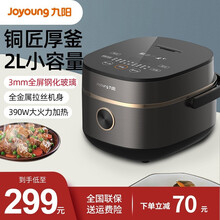 九阳（Joyoung）电饭煲电饭锅多功能2.5L迷你容量智能触摸操控一键柴火饭2-4人 2L精致电饭煲