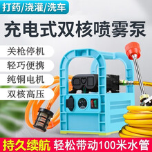 手提式打药机喷雾器电动农用家用充电打药洗车抽水机水泵手提泵消毒喷雾壶 双核泵+20米高压管 12A锂电