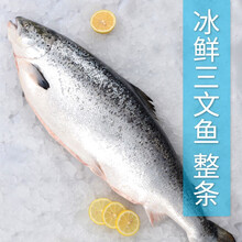 【券后 到手668】 卖鱼郎先生 新鲜冰鲜整条三文鱼 生鱼片刺身寿司料理 海鲜水产 整条三文鱼