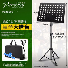 伯尔修斯 可升降折叠乐谱架 吉他谱架贝斯小提琴琵琶古筝架子鼓二胡长笛萨克斯便携式家用曲谱琴架 专业款黑色大谱台+送乐谱夹+谱架包+乐谱灯
