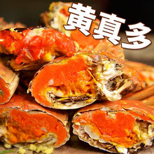 【活蟹】大闸蟹鲜活冷链现货六月黄公母螃蟹礼盒  罗菲迪新 六月黄(3.0-3.4两)10只