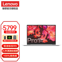 联想小新Pro14 2021高端新款轻薄本14英寸高色域全面屏锐龙标压六核金属机身轻薄手提笔记本电脑 定制|R5-5600H 16G内存 1T大固态 2.2K 高清全面屏 星河银