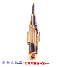 17簧14簧扩音笙乐器大全圆笙方笙修笙工具竽乐器笙包初学者 17簧漆金活斗笙【紫竹大漆笙苗黄管、活斗】