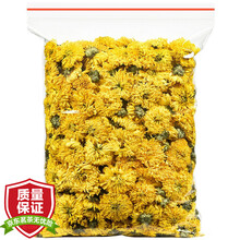 陈一凡【大份量约500朵】金蕊皇菊 菊花球婺源皇菊皇菊贡菊菊花茶可搭枸杞决明子金银花茶袋装100g