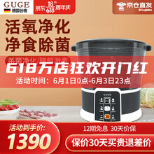 德国Guge果蔬清洗机洗菜机家用全自动智能餐具消菌机多功能去农残杀菌净食谷格食材净化机