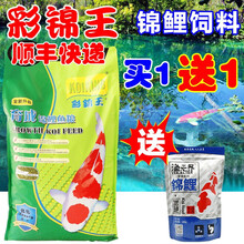 彩锦王锦鲤鱼粮锦鲤饲料金鱼螺旋藻增色增体上浮颗粒顺丰快递 育成中粒10KG