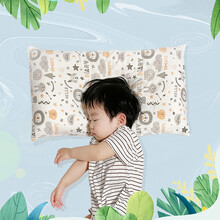 贝壳日记（SHELL DIARY）儿童枕头夏季透气0-1-3-5-10岁宝宝婴儿枕头决明子四季通用