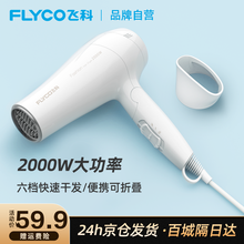飞科(FLYCO)电吹风机家用冷热风恒温家用可折叠大功率吹风筒2000W FH6232 官方标配