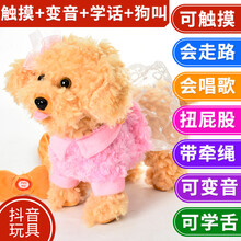会走路会说话的狗狗玩具会唱歌毛绒狗仿真会叫儿童电动牵绳小狗男女孩送儿童生日礼物 婚纱粉 非充电79首歌