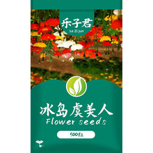 乐子君 花草种子冰岛虞美人种子花草种子混色虞美人花种子春秋播多年生耐寒耐阴花种子易活花种籽子 冰岛虞美人500粒