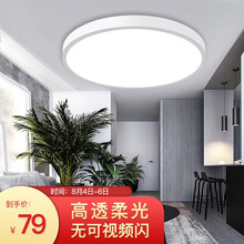 超市	佛山照明（FSL）吸顶灯客厅灯卧室灯具灯饰简约现代调色 铁艺烤漆白色25W