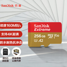 闪迪（SanDisk）256GB TF（MicroSD）存储卡 U3 V30 C10 4K A2 至尊极速移动版内存卡 读速160MB/s