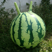 西瓜跳跳球 加厚西瓜羊角球 健身充气弹力球 儿童玩具皮球 羊角球+充气泵