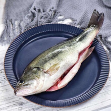 鲈鱼现杀淡水鱼新鲜国产现捕现发生鲜 佑达嘉怡 【帮杀好】每条1斤发顺丰 2条装