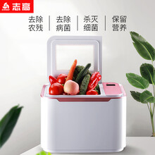 志高（CHIGO）洗菜机果蔬水果清洗机家用蔬菜消毒解毒机全自动食材净化机 红色