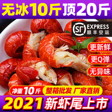 虾运 小龙虾尾冷冻生鲜虾球鲜活海鲜水产批发 净重10斤纯虾尾整箱 (精品特号5-7cm)每斤净虾尾95只
