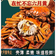 活鲜【冷链运输】大闸蟹鲜活 六月黄螃蟹公母蟹缺重包赔 礼盒装黎麦跃堡 (2.5-2.0两)16只