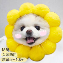 宠物猫咪帽子头套泰迪博美法斗小狗抖音搞笑造型帽子狗狗用品 太阳花M码 猫狗通用