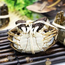 活鲜【冷链运输】现货 六月黄大闸蟹 特大活螃蟹公蟹 礼盒黎麦跃堡 (2.0-2.5)两 8只