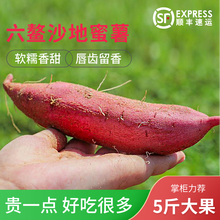 【顺丰速运】福建六鳌蜜薯沙地红心糖心地瓜5斤农家自种新鲜板栗香蕃薯西瓜红山芋 5斤装中果（30个左右）