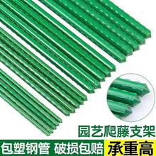 蔬菜爬腾架爬藤植物架子园艺花架花园阳台庭院黄瓜豆角葡萄架包塑钢管支撑杆-ONEVAN 11mm直径180cm长【5根】