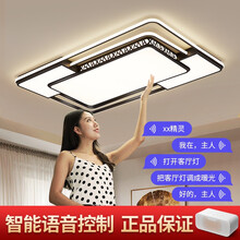 万锦华灯 智能语音灯具北欧LED客厅灯现代简约吸顶灯网红家用大气全屋套餐温馨卧室餐厅个性灯饰 智能语音款 客厅90*60cm无极调光带遥控