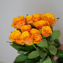 远方的花 玫瑰鲜花速递爱必达逸禾百利信品牌农场直供 品牌橙黄玫瑰10枝60cm