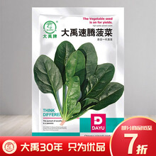 大禹 大叶菠菜种子黑叶红根耐热菠菜种籽四季春夏季播种肉厚高产蔬菜种孑 速腾菠菜种子 15g/袋