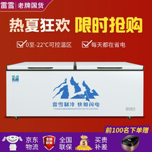 【铜管升级】雷雪 冰柜商用大容量 卧式冰柜 卧式冰箱 展示柜 冷藏柜 商用冰柜 冰柜家用 冷柜铜管 1088单温铜管（电脑温控）