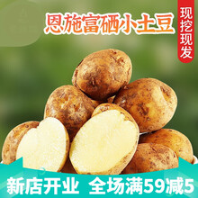 恩施现挖新鲜富硒小土豆10斤农产品黄心小马铃薯蔬菜小洋芋 1500g