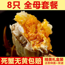 【活蟹】大闸蟹鲜活母螃蟹活体特大海鲜礼盒 罗菲迪新 母2.6-2.1两 8只